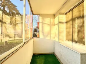 Pronájem bytu 1+1, Hodonín, Velkomoravská, 32 m2