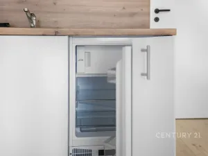 Pronájem bytu 2+kk, Praha - Nusle, Sezimova, 53 m2