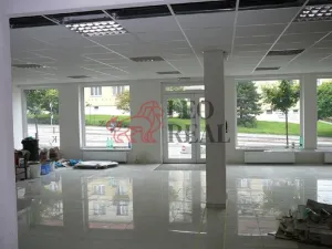Prodej obchodního prostoru, Brno, Kosmova, 120 m2