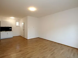 Pronájem bytu 1+kk, Pardubice - Rosice, generála Svobody, 29 m2