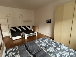 Pronájem bytu 1+kk, Praha - Nusle, Jaurisova, 35 m2