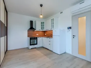 Pronájem bytu 1+kk, Praha - Žižkov, Malešická, 39 m2