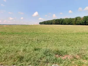 Prodej komerčního pozemku, Planá nad Lužnicí, 1838 m2