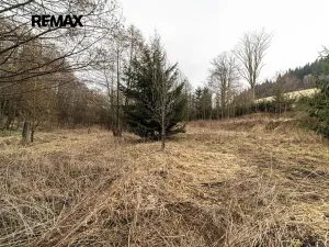 Prodej pozemku pro bydlení, Červená Voda, 1100 m2