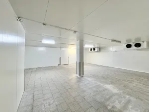 Pronájem skladu, Brno, U vlečky, 126 m2