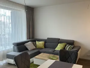 Pronájem bytu 2+kk, Plzeň - Východní Předměstí, Pallova, 46 m2