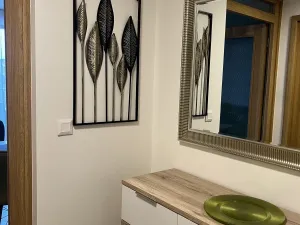 Pronájem bytu 2+kk, Plzeň - Východní Předměstí, Pallova, 46 m2