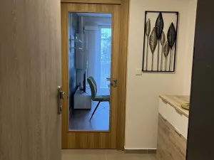 Pronájem bytu 2+kk, Plzeň - Východní Předměstí, Pallova, 46 m2