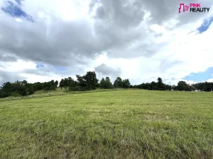 Prodej louky, Rychnov nad Kněžnou, 16663 m2