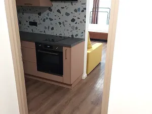 Pronájem bytu 2+kk, Praha - Žižkov, V domově, 45 m2