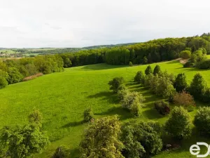 Prodej rodinného domu, Kravaře - Veliká, 500 m2