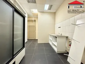 Pronájem skladu, Brno, Minoritská, 16 m2