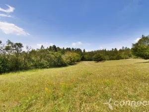 Prodej louky, Samopše, 14836 m2