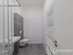 Prodej bytu 2+kk, Přerov - Přerov I-Město, Husova, 37 m2