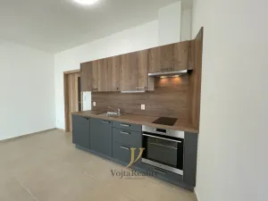 Pronájem bytu 1+kk, Olomouc - Hodolany, Elišky Krásnohorské, 45 m2