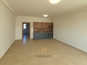 Pronájem bytu 1+kk, Olomouc - Hodolany, Elišky Krásnohorské, 45 m2