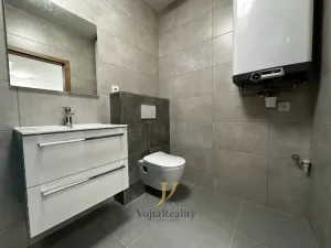 Pronájem bytu 1+kk, Olomouc - Hodolany, Elišky Krásnohorské, 45 m2