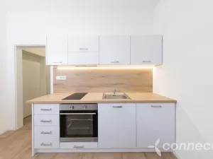 Pronájem bytu 1+1, Přerov - Přerov I-Město, Husova, 28 m2