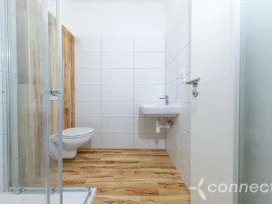 Pronájem bytu 1+1, Přerov - Přerov I-Město, Husova, 28 m2