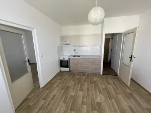 Pronájem bytu 1+1, Ústí nad Labem, Jizerská, 36 m2