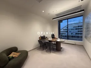 Pronájem kanceláře, Praha, Boudníkova, 500 m2
