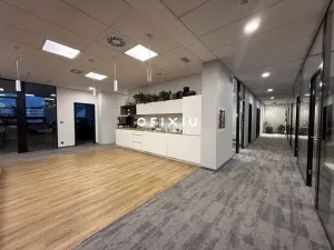 Pronájem kanceláře, Praha, Boudníkova, 500 m2