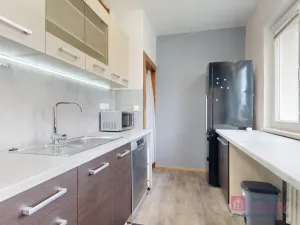 Pronájem bytu 4+1, Hodonín, Cihlářská čtvrť, 77 m2