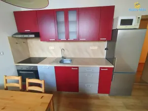 Prodej bytu 1+kk, Vyškov - Vyškov-Předměstí, Smetanovo nábřeží, 59 m2