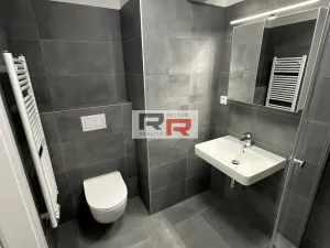 Pronájem bytu 1+kk, Olomouc - Řepčín, Aloise Rašína, 31 m2
