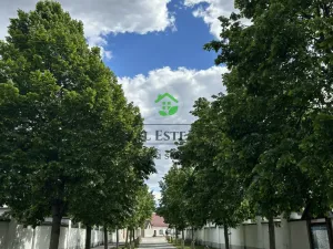 Prodej bytu 3+1, Oslavany, Moravská, 71 m2