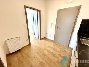 Pronájem bytu 1+1, České Budějovice - České Budějovice 5, Prašná, 28 m2