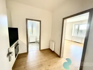 Pronájem bytu 1+1, České Budějovice - České Budějovice 5, Prašná, 28 m2
