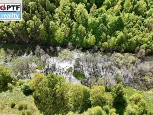 Prodej výrobních prostor, Libá, 8000 m2