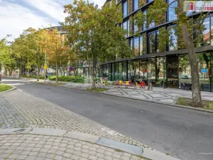Prodej bytu 2+1, Praha - Karlín, Pernerova, 44 m2
