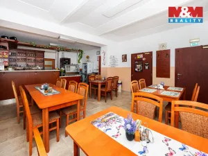 Prodej ubytování, Brandýs nad Orlicí, Husova, 340 m2