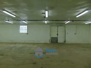 Pronájem výrobních prostor, Skuteč, Zvěřinova, 164 m2