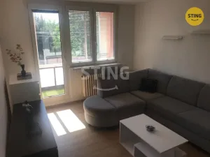 Pronájem bytu 1+1, Frýdek-Místek, J. E. Purkyně, 35 m2