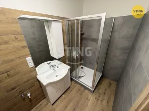 Pronájem bytu 1+kk, Prostějov, Žižkovo nám., 43 m2