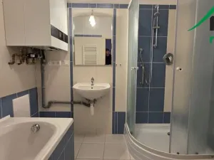 Pronájem bytu 3+1, Planá, 105 m2