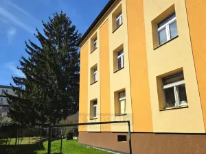 Pronájem bytu 1+1, České Budějovice - České Budějovice 3, Pekárenská, 51 m2