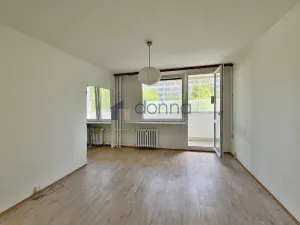 Pronájem bytu 1+1, Praha, Jílovská, 42 m2
