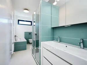 Pronájem rodinného domu, Praha - Braník, V malých domech I, 300 m2