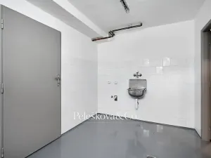Pronájem rodinného domu, Praha - Braník, V malých domech I, 300 m2