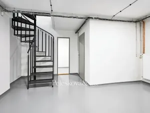 Pronájem rodinného domu, Praha - Braník, V malých domech I, 300 m2