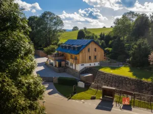 Prodej komerčního pozemku, Želnava, 1110 m2