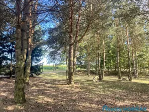 Prodej pozemku pro bydlení, Katovice, 3304 m2