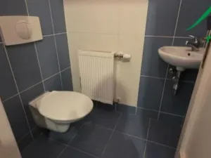 Pronájem bytu 3+1, Planá, nám. Svobody, 105 m2