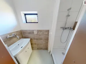 Prodej chaty, Opava, Dlouhá, 399 m2