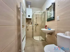 Pronájem bytu 2+kk, Praha - Nusle, Bělehradská, 35 m2