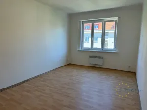 Pronájem bytu 1+kk, Praha - Nusle, Žateckých, 40 m2
